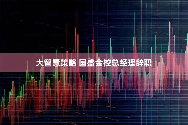 大智慧策略 国盛金控总经理辞职