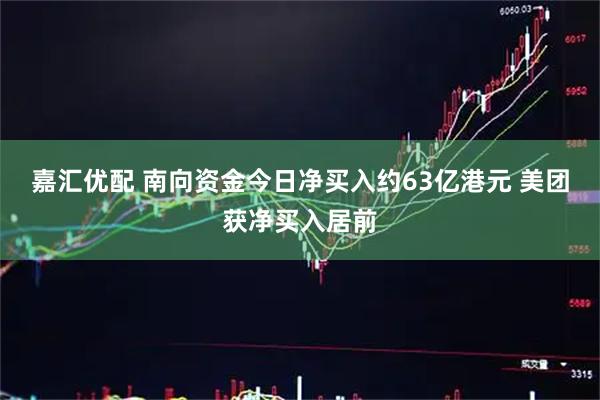 嘉汇优配 南向资金今日净买入约63亿港元 美团获净买入居前